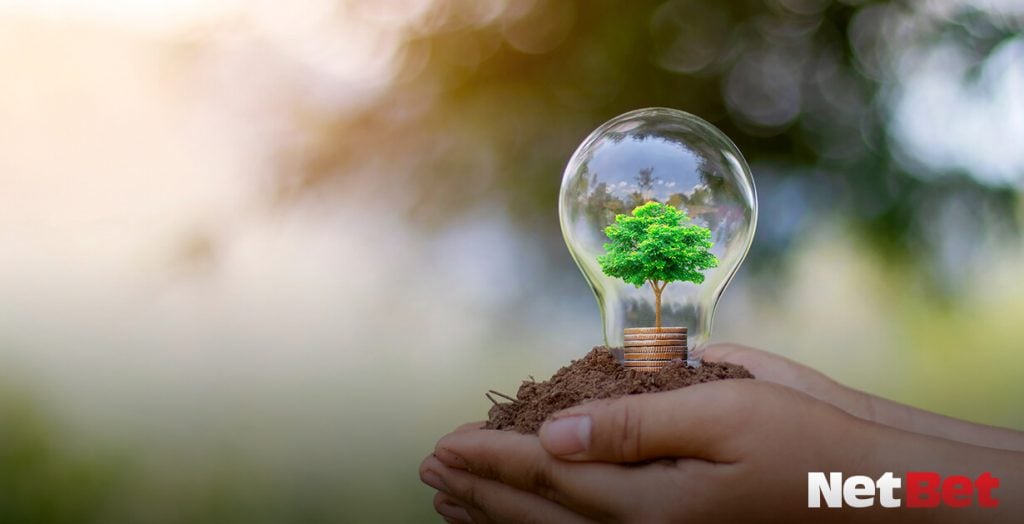aziende green, il futuro dell'economia